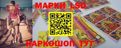 гидропоника Новозыбков