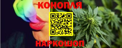 гидропоника Новозыбков