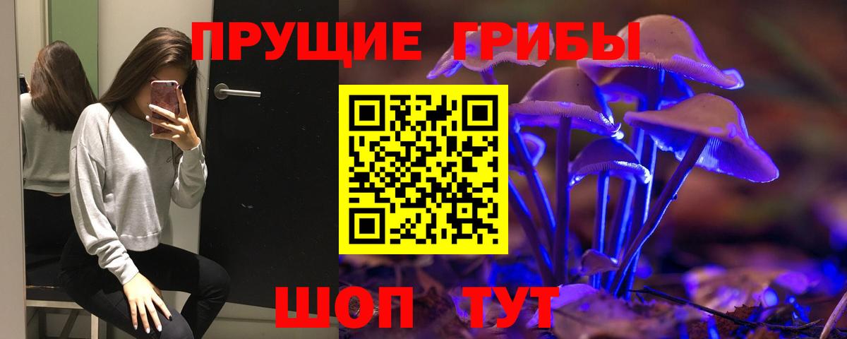 Галлюциногенные грибы прущие грибы  Вход с VPN  Славянск-на-Кубани 